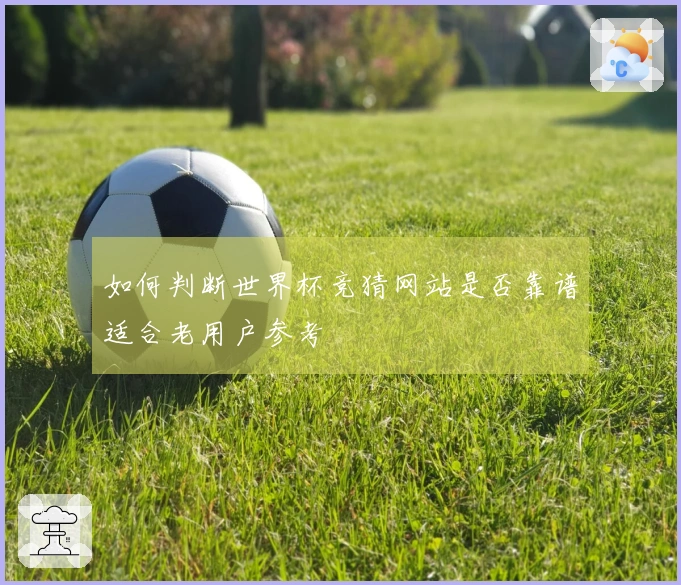 如何判断世界杯竞猜网站是否靠谱适合老用户参考