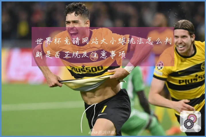 世界杯竞猜网站大小球玩法怎么判断是否正规及注意事项