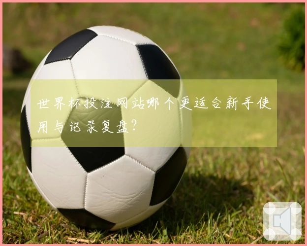 世界杯投注网站哪个更适合新手使用与记录复盘？