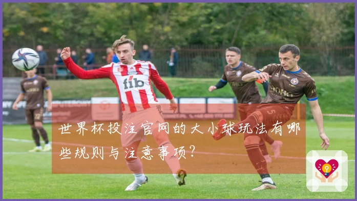 世界杯投注官网的大小球玩法有哪些规则与注意事项？