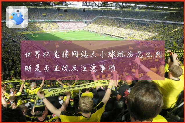 世界杯竞猜网站大小球玩法怎么判断是否正规及注意事项