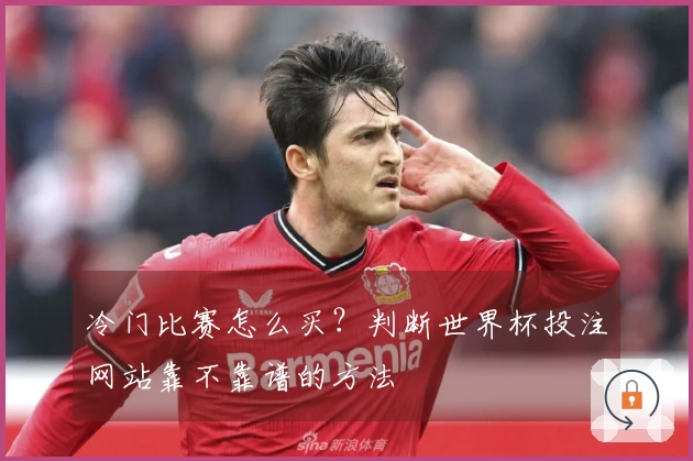 冷门比赛怎么买？判断世界杯投注网站靠不靠谱的方法